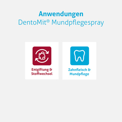 DentoMit® Mundpflegespray