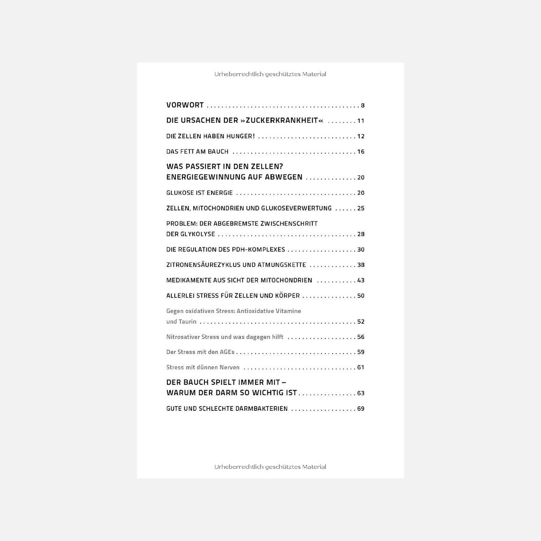 Diabetes Typ 2 - Ursachen verstehen – erfolgreich behandeln