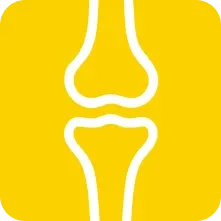 Knochen &<br> Gelenke