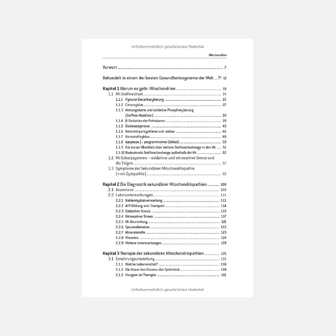 Mitochondrien – Symptome, Diagnose und Therapie