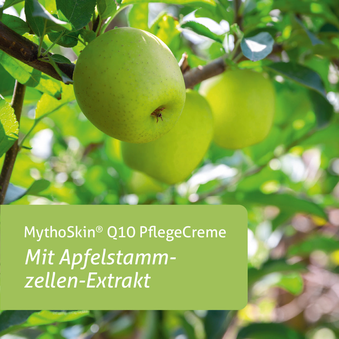 MythoSkin® Q10 PflegeCreme mit Apfelstammzellen-Extrakt